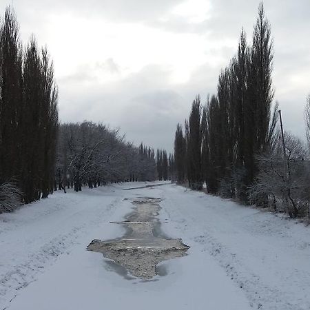 Penzion Hlinkova Plzeň Buitenkant foto