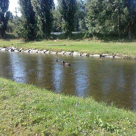 Penzion Hlinkova Plzeň Buitenkant foto