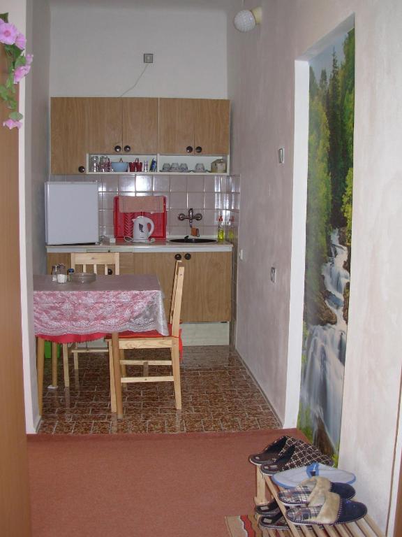 Penzion Hlinkova Plzeň Kamer foto