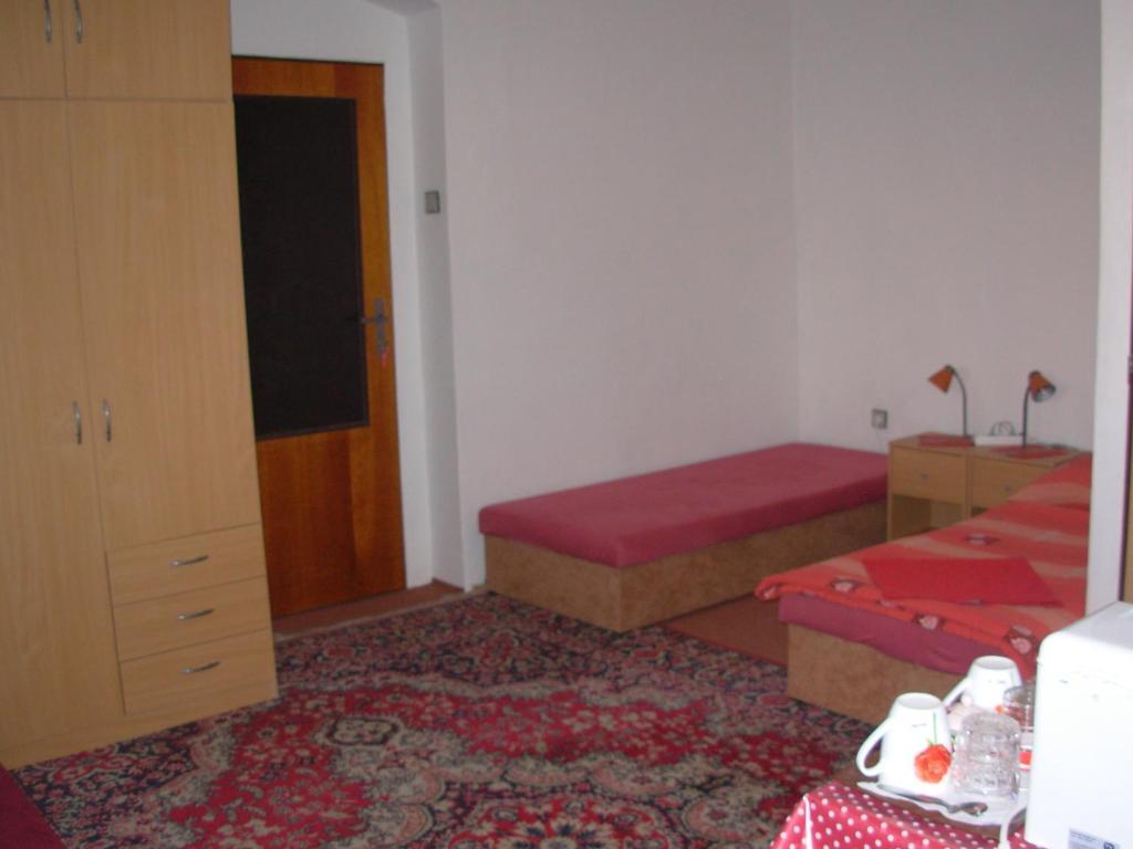Penzion Hlinkova Plzeň Kamer foto