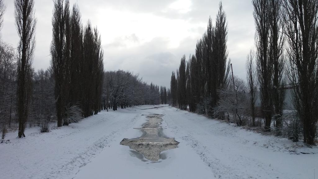 Penzion Hlinkova Plzeň Buitenkant foto